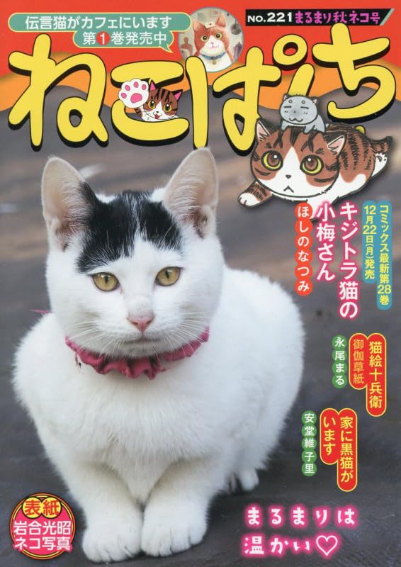 ねこぱんち まるまり秋ネコ号 (にゃんCOMI) | アンソロジー |本 | 通販